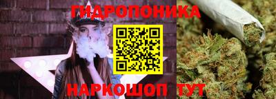 PSILOCYBIN Бугуруслан