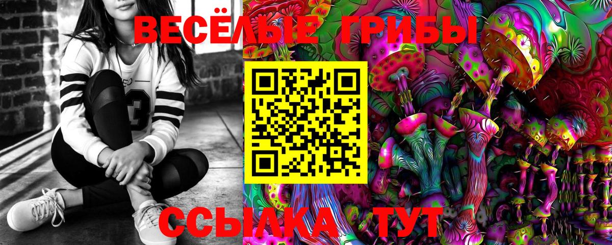Псилоцибиновые грибы ЛСД Медногорск