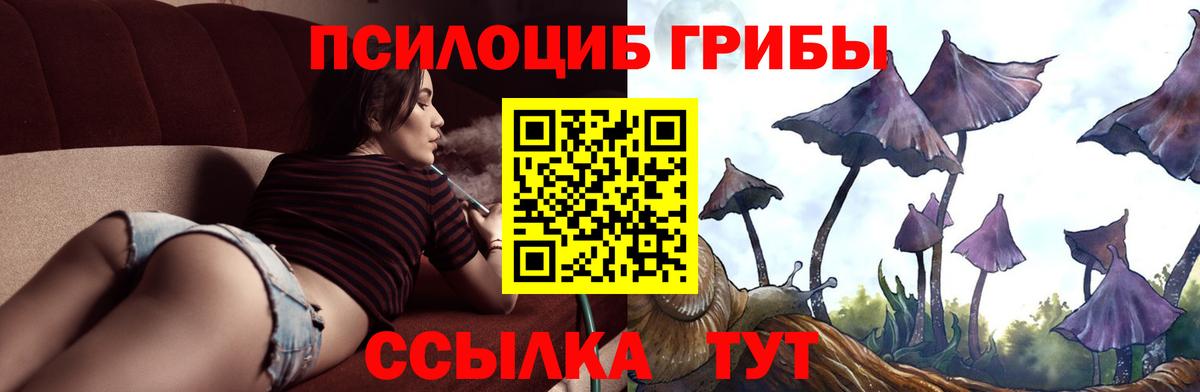 Псилоцибиновые грибы MAGIC MUSHROOMS  Псилоцибиновые грибы ЛСД  Вход с VPN  Медногорск 
